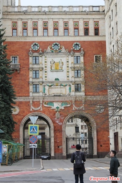 МГУ и аллея сакуры