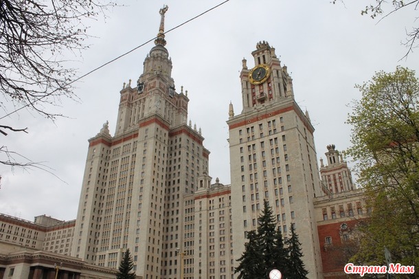 МГУ и аллея сакуры