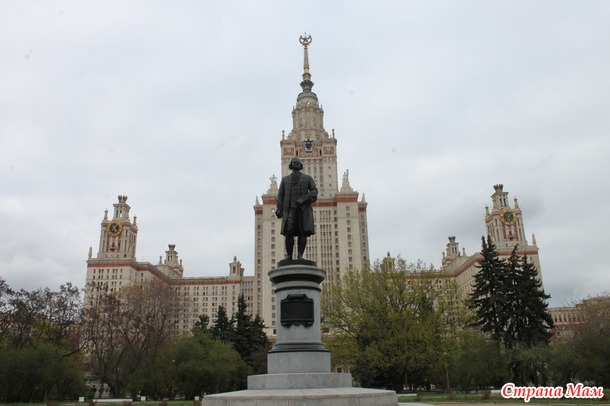 МГУ и аллея сакуры