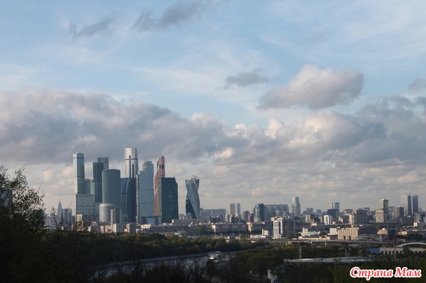 МГУ и аллея сакуры