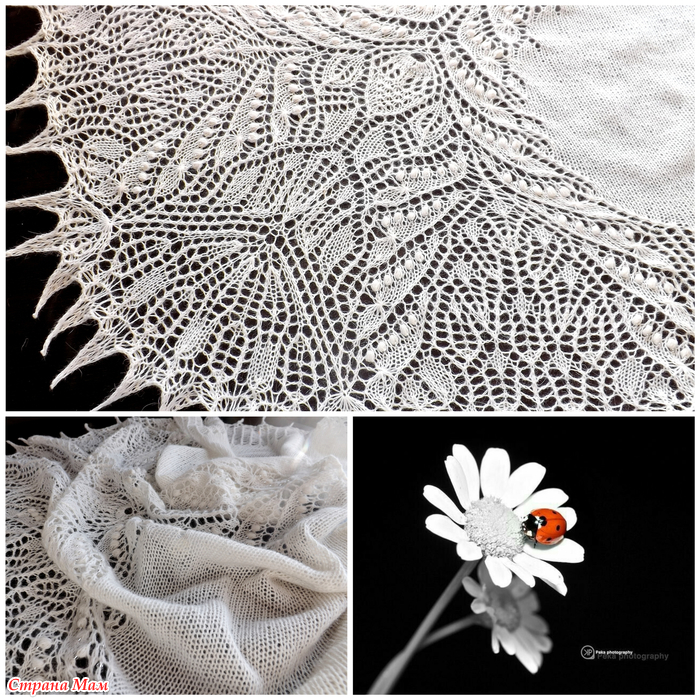 Схема шали чертополох. Шаль шотландский чертополох Альбина. Шаль чертополох и папоротник спицами. Салфетка крючком чертополох. Шаль крючком Безумный чертополох.