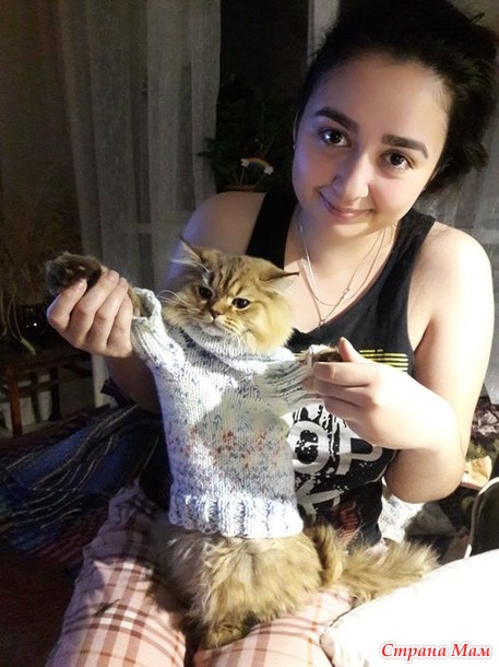 Наши кошки. Грустное продолжение.