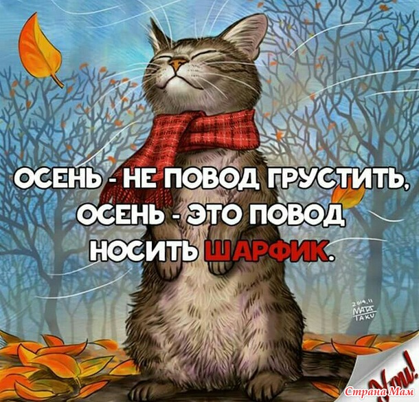 Шарфик