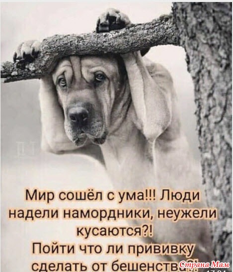 Смеемся над коронавирусом.