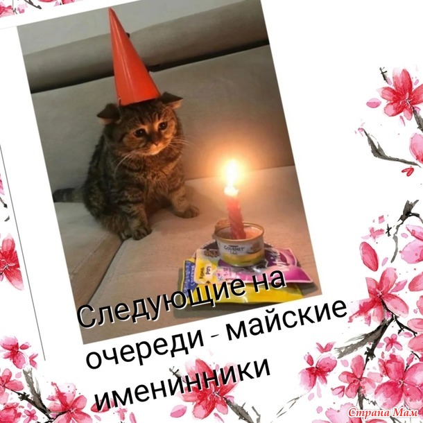 Улыбнёмся..?)