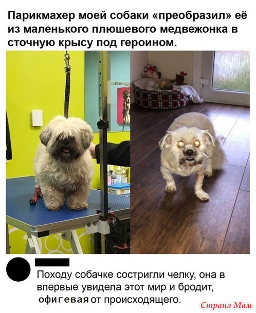 От улыбки станет день светлей - 116...