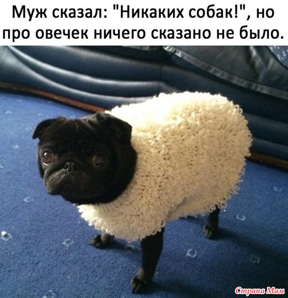 От улыбки станет день светлей - 118...