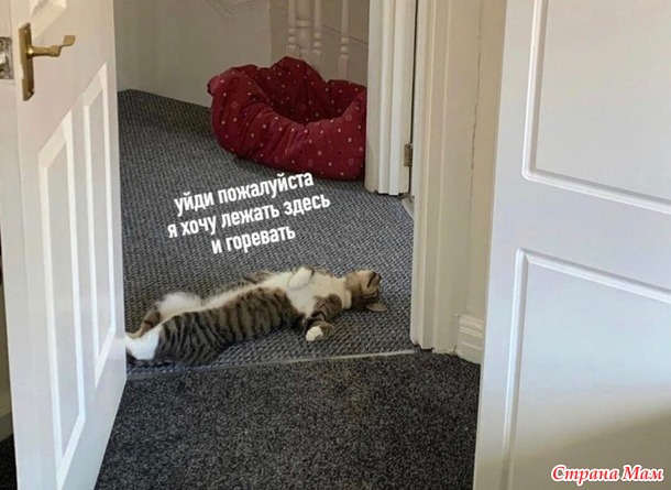 От улыбки станет день светлей - 122...