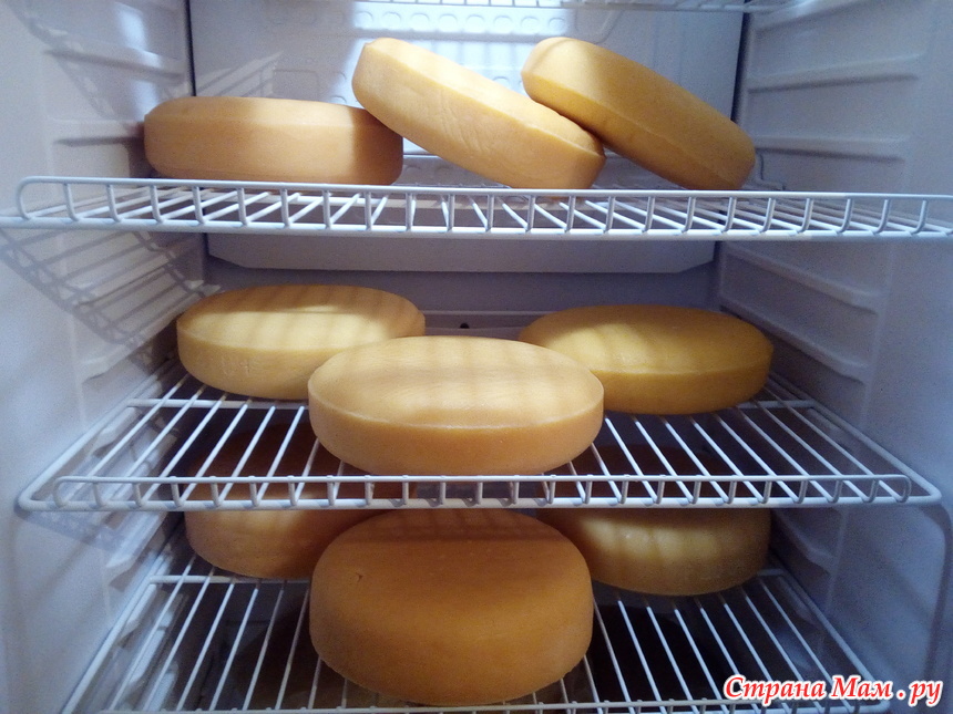 Почему сыр хранят в холодильнике. Холодильник для вызревания сыра. Хранение сыра в холодильнике. Шкаф для хранения сыра. Сыр в холодильнике домашний.