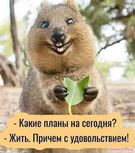 Чисто женское. 47