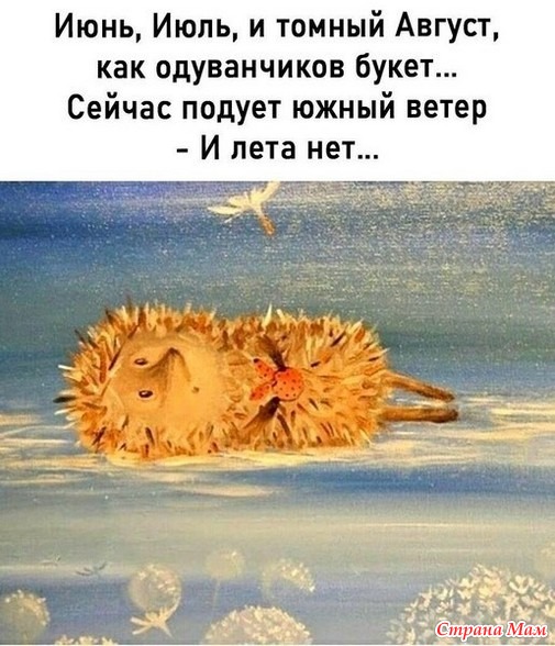 Чисто женское. 48