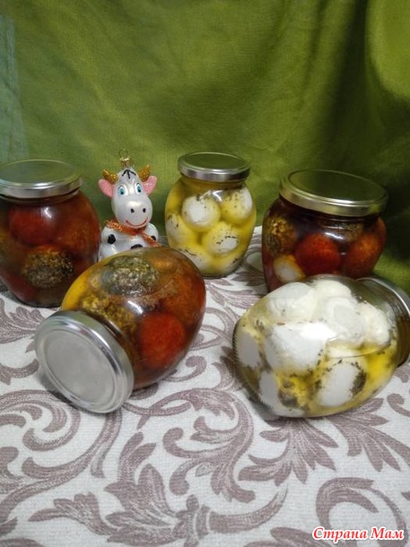 Сыромания или мои сырные новинки