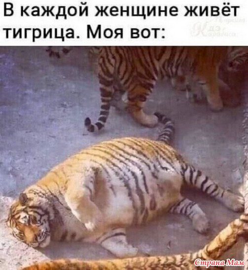  . 59