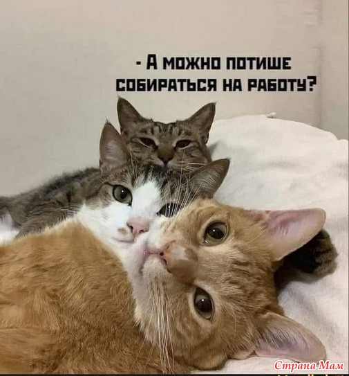 Котоюмор - 9