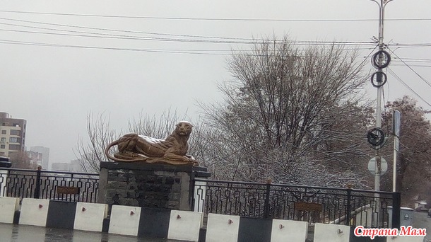 Северный Кавказ. Начало