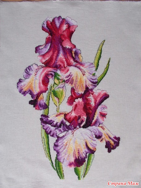 Прованские поля | Cross stitch silhouette, Provence lavender, Cross stitch flowers