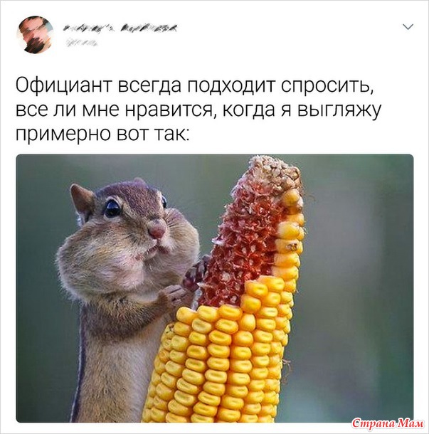 От улыбки станет день светлей - 104...