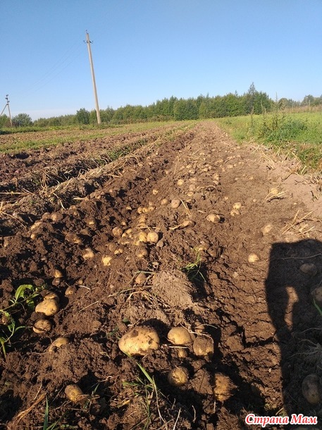 Продавец из меня никакой.