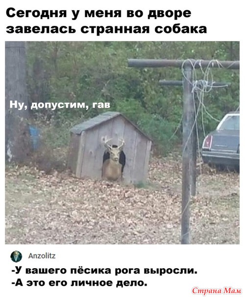 От улыбки станет день светлей - 140...