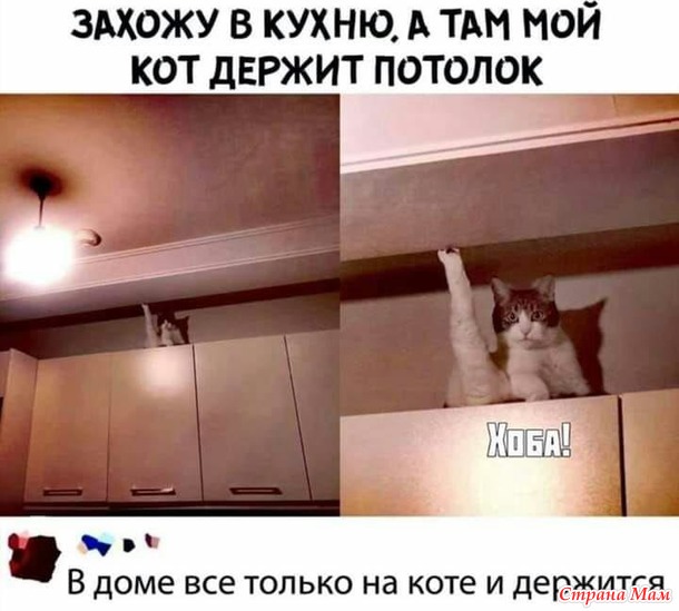 От улыбки станет день светлей - 140...