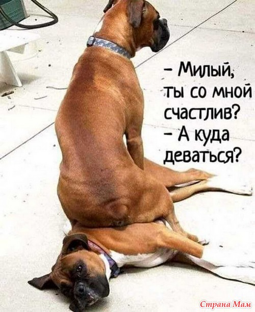 О семейной жизни с юмором. 48