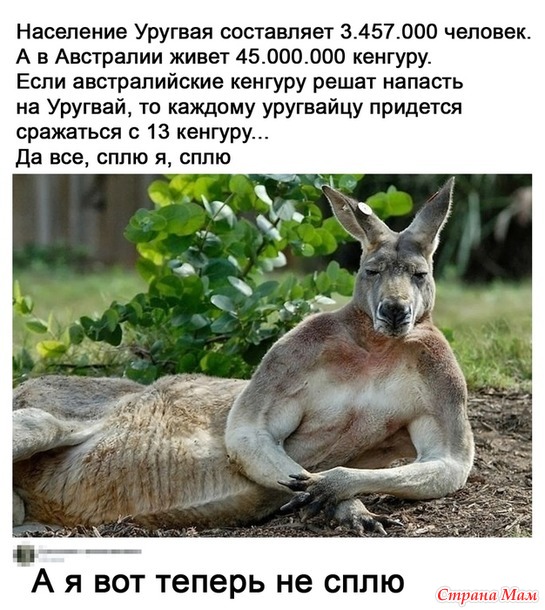 От улыбки станет день светлей - 141...