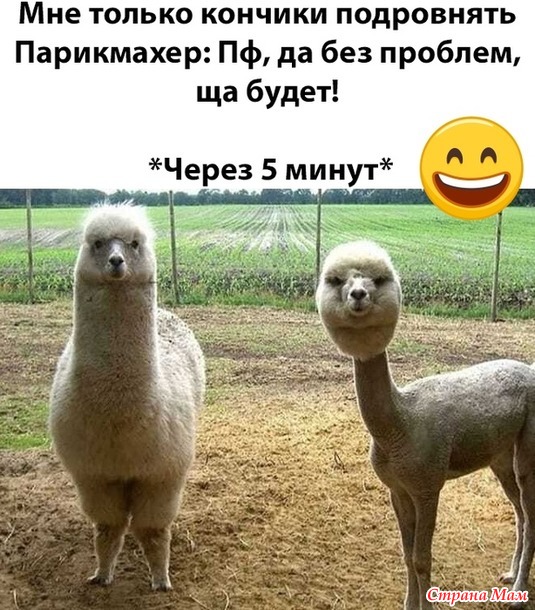 От улыбки станет день светлей - 141...