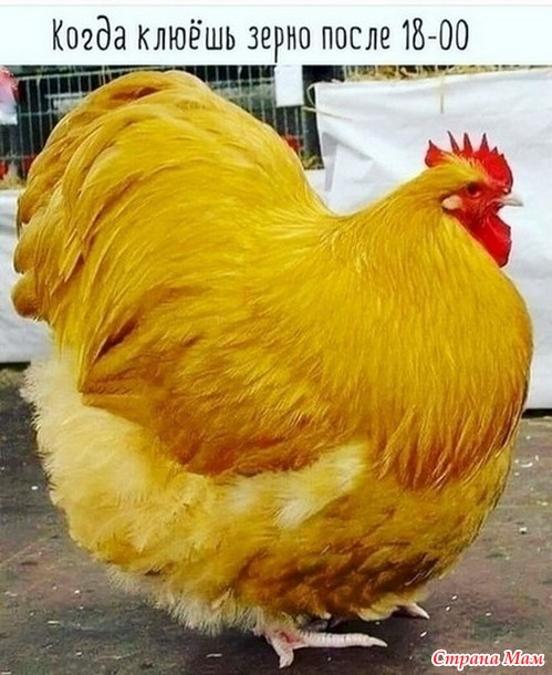     . 18