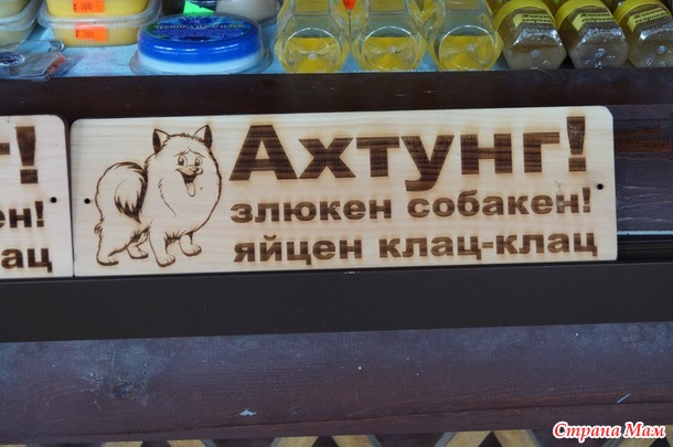 Мечты сбываются! Горный Алтай - 3. Канатная дорога и другие наши развлечения