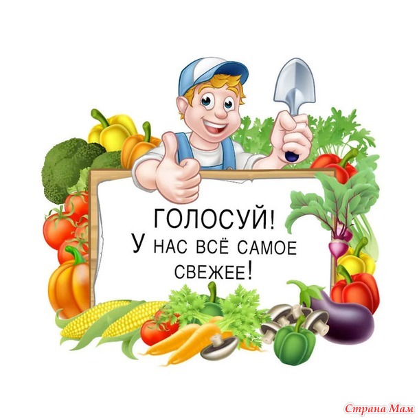 Голосуем! Глава третья. Конкурс "Летопись о даче"