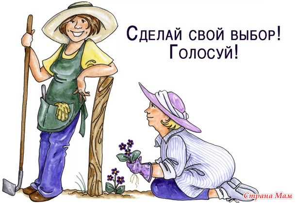 Голосуем! Глава первая. Конкурс "Летопись о даче"