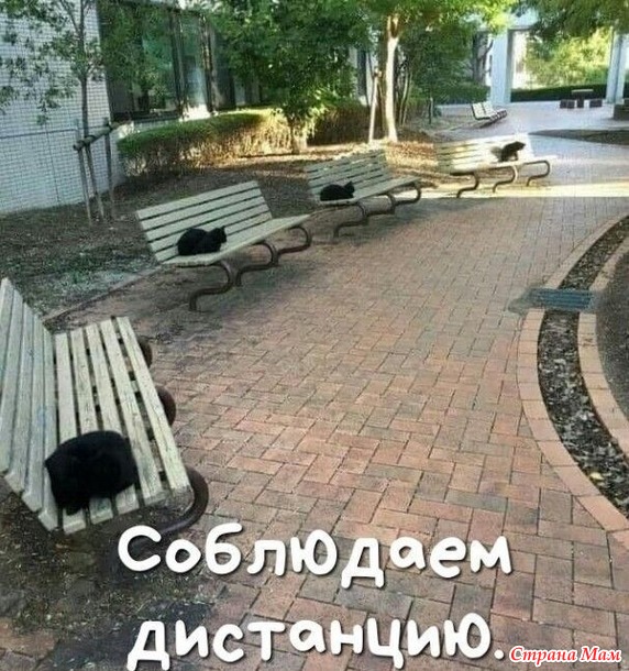От улыбки станет день светлей - 130...
