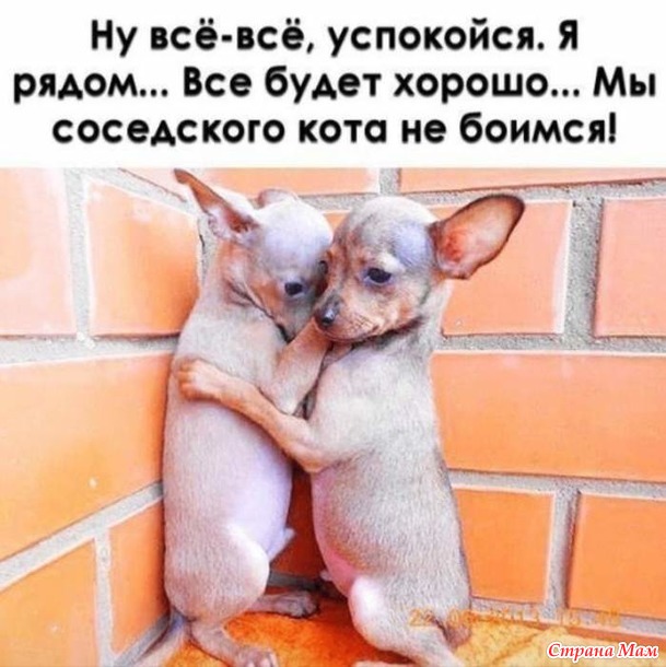 От улыбки станет день светлей - 130...