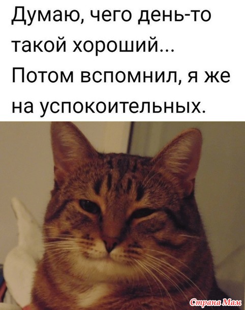 От улыбки станет день светлей - 131...