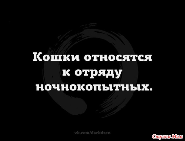 От улыбки станет день светлей - 131...