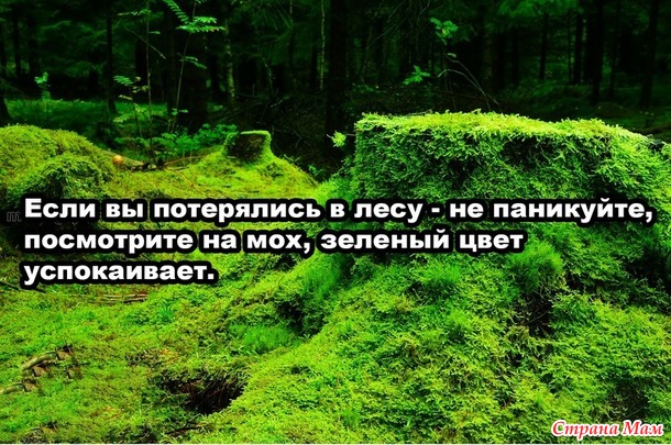 От улыбки станет день светлей - 132