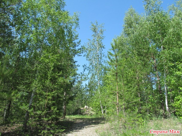 Лысая гора