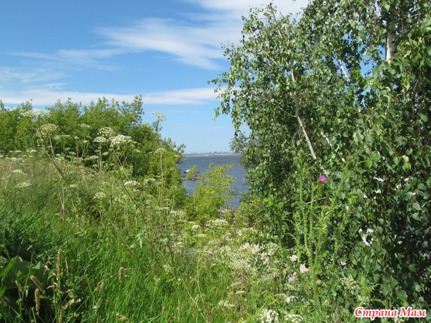 Лысая гора