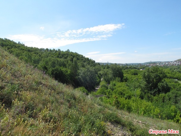 Лысая гора