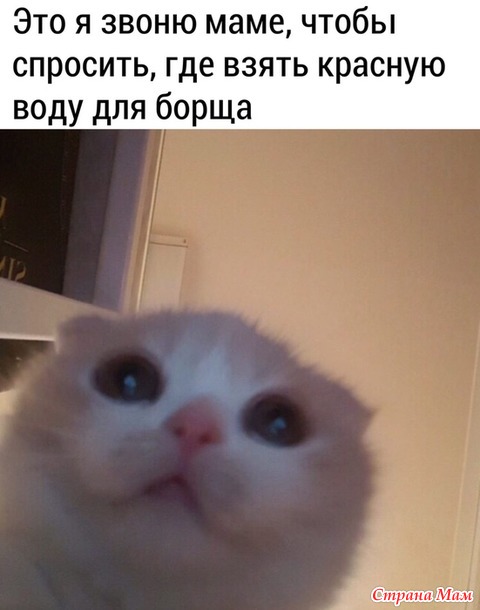 От улыбки станет день светлей - 127...