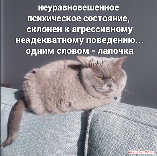 От улыбки станет день светлей - 127...