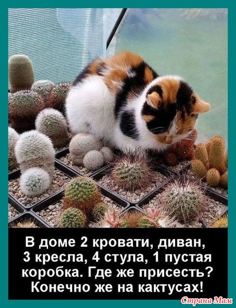 Солянка сборная, приятного вам настроения.