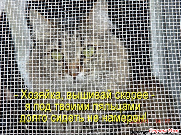 Юмор. Вышивание!
