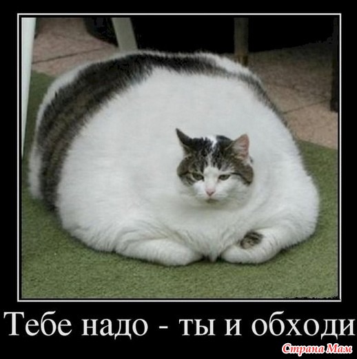  - 3
