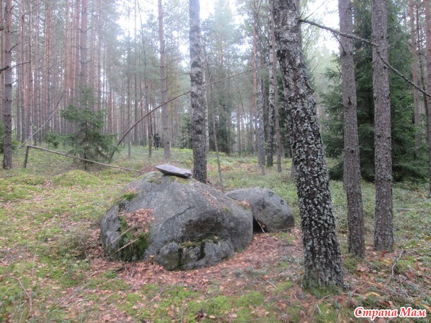 Прогулка в осеннем лесу.