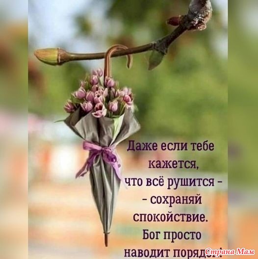   - 25