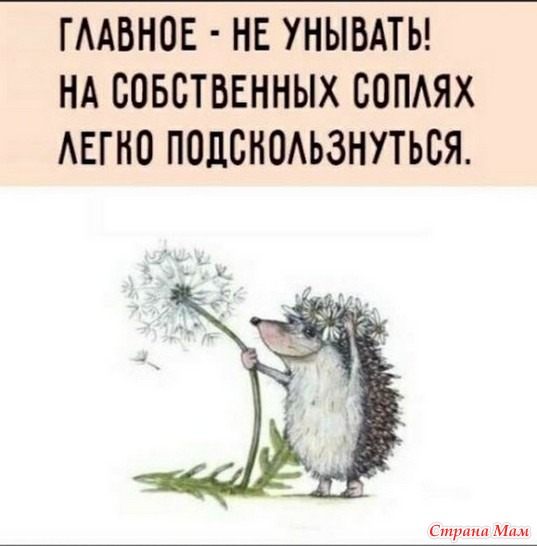   - 25