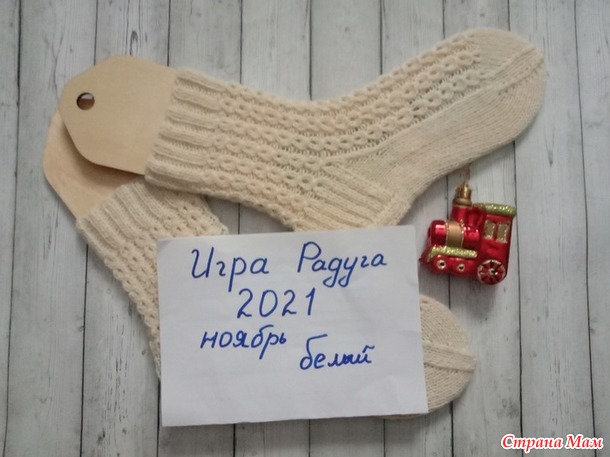 Радуга2021_Ноябрь_отчет №2