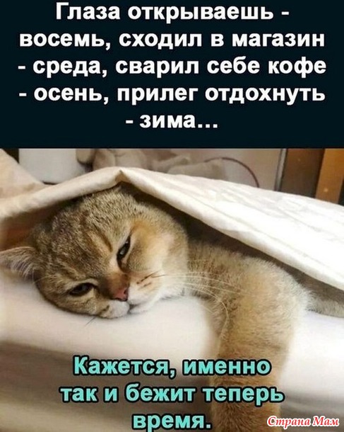 Так и живём...6