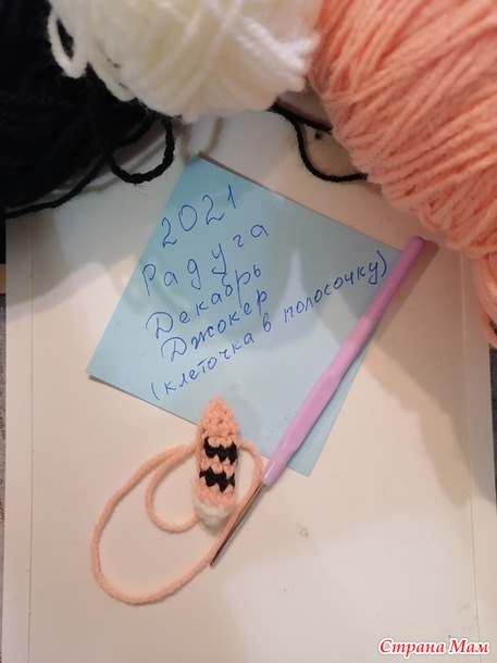 Радуга 2021. Декабрь- джокер (клеточка в полосочку). Отчет №2. Тигрята.